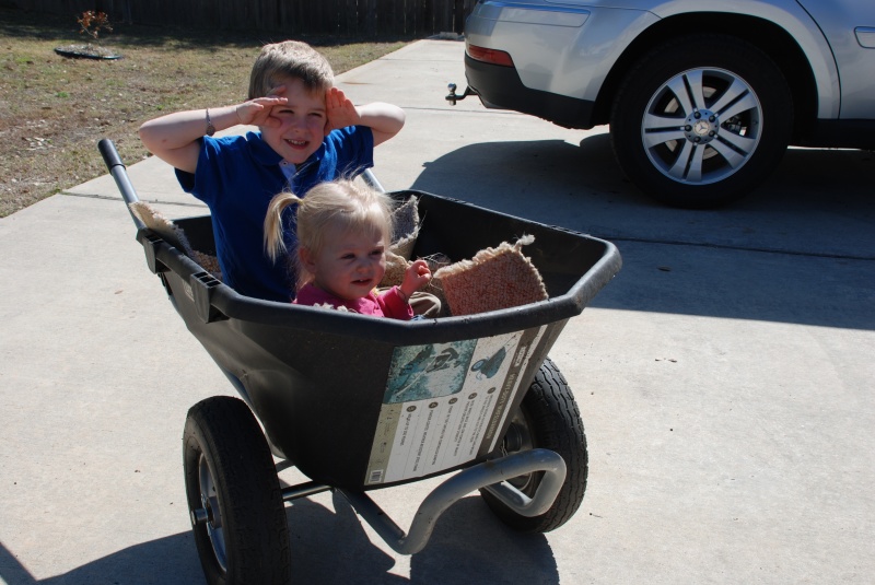 2010-03-14-Sydney Ian Wheelbarrow-4.jpg